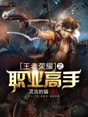 《王者榮耀之職業高手》封面