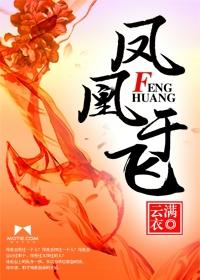 《鳳凰于飛》封面