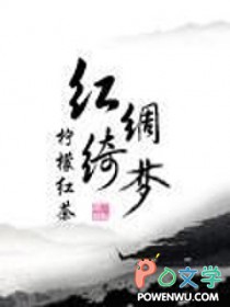 《紅綢綺夢》封面