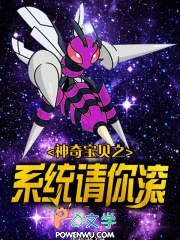 《神奇寶貝之系統請你滾》封面