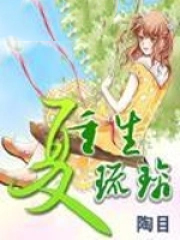 《重生夏琉璃》封面