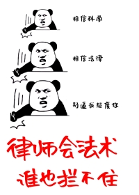 《律師會法術，誰也攔不住！》封面