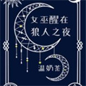 《女巫醒在狼人之夜》封面