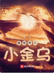 《偷偷養只小金烏》封面