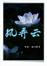 《風弄雲》封面