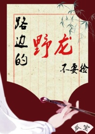《路邊的野龍不要撿（古言 1v1 人外）》封面