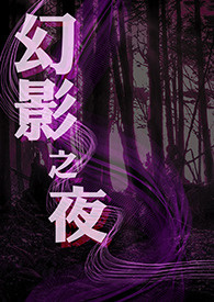 《幻影之夜》封面
