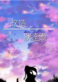 《改造─波達爾》封面