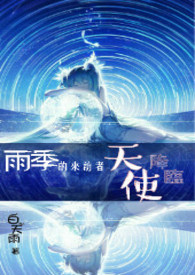《雨季的來訪者》封面