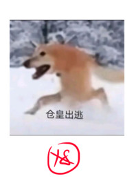《淪為廢物後的囂張仙子（1v2，年下，h）》封面