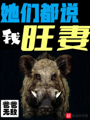 《她們都説我旺妻》封面