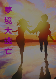 《夢境大逃亡》封面