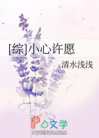 《[綜]小心許願》封面