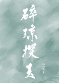 《碎瓊探玉》封面