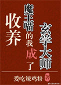 《收養魔王喵的我成了玄學大師》封面