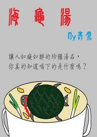 《海龜湯》封面