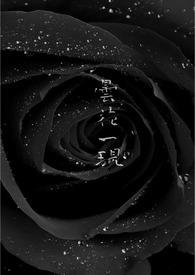 《曇花一現》封面