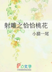 《射鵰之恰恰桃花》封面