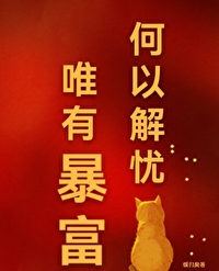 《何以解憂，唯有暴富》封面