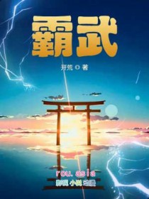 《霸武》封面