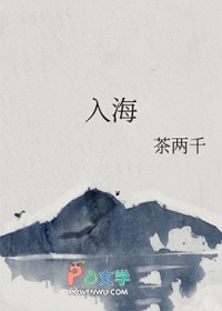 《入海》封面