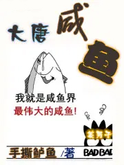《大唐鹹魚》封面