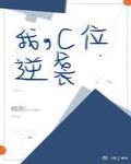 《我，C位，逆襲》封面