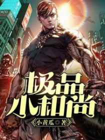 《極品小和尚》封面