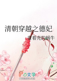 《清朝穿越之德妃》封面