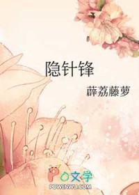 《隱針鋒》封面