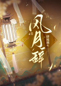 《風月辭》封面