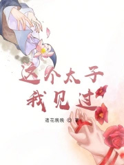 《這個太子我見過》封面