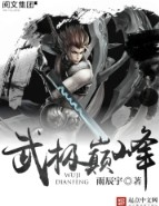 《武極巔峯》封面