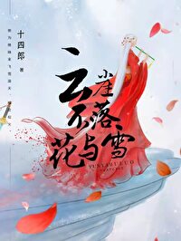 《雲崖不落花與雪》封面