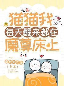 《貓貓我每天醒來都在魔尊牀上》封面
