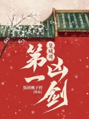 《皇城司第一兇劍》封面