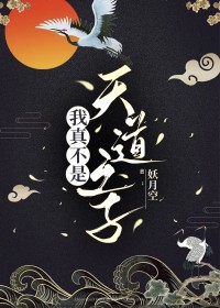 《我真不是天道之子》封面
