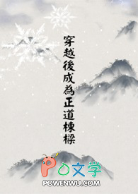 《穿越後成為正道棟樑》封面