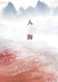《入海》封面