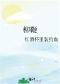 《柳鞭》封面