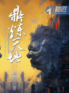 《鼎煉天地》封面