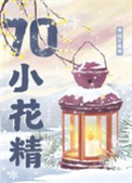 《七零漂亮小花精》封面