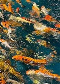 《劍宗不養閒人，鹹魚可以》封面