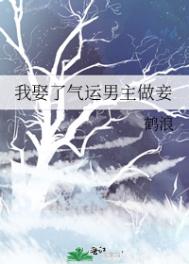 《我娶了氣運男主做妾》封面