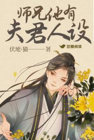 《師兄他有夫君人設》封面