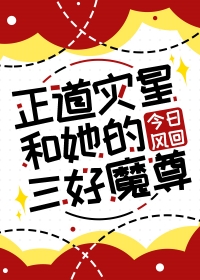 《正道災星和她的三好魔尊》封面