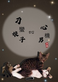 《刁蠻娘子vs心機男》封面