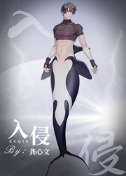 《入侵[向哨]》封面
