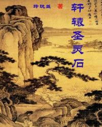 《軒轅聖靈石》封面
