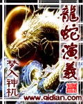 《龍蛇演義》封面